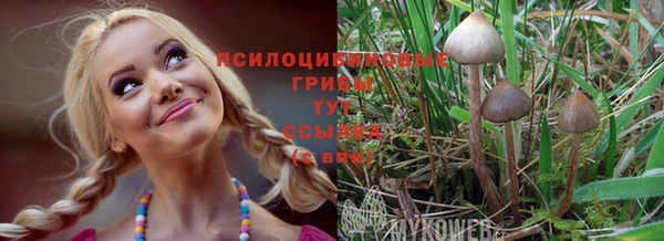 каннабис Алексин